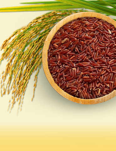 Red Brown Rice